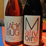 A pretty pair from Malivoire, Ladybug and Gamay.